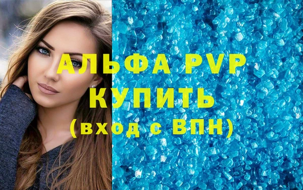 стафф Арсеньев