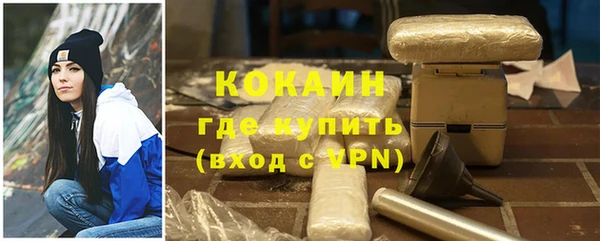 стафф Арсеньев