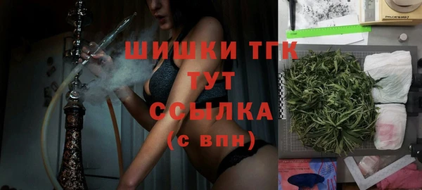 эйфоретик Аркадак