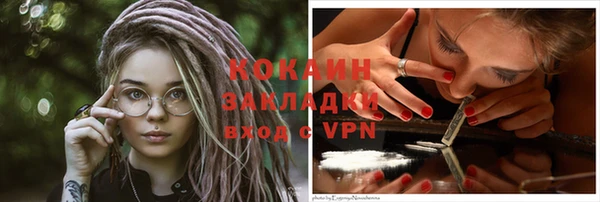 стафф Арсеньев