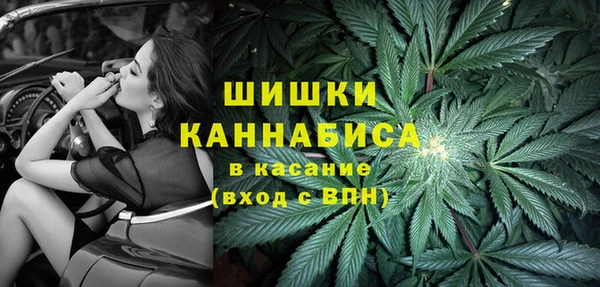 эйфоретик Аркадак