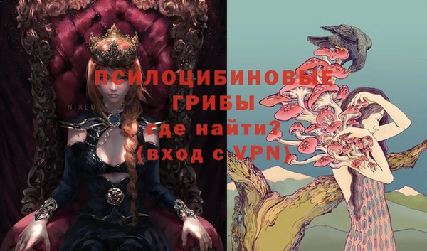 spice Вязьма