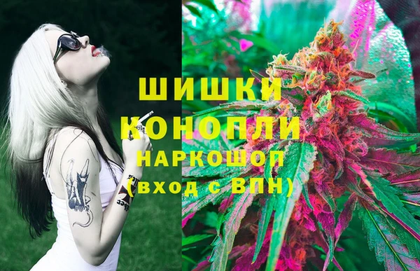 стафф Арсеньев