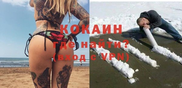 стафф Арсеньев