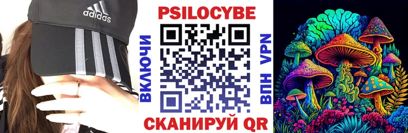 Псилоцибиновые грибы мицелий  Никольское 